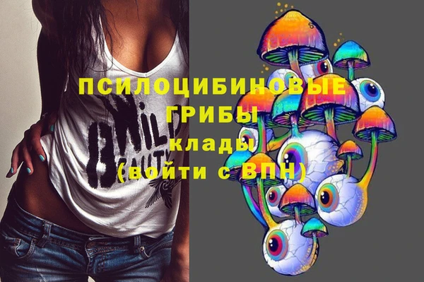 мет Богородицк