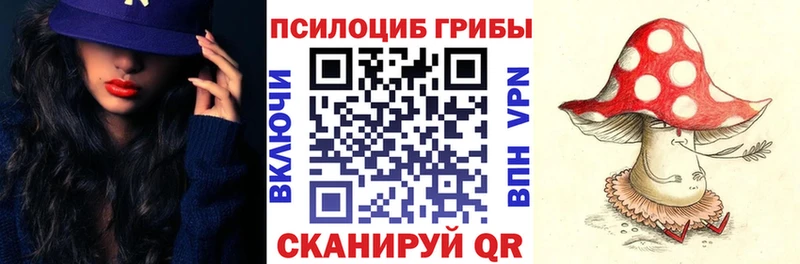 Псилоцибиновые грибы Psilocybine cubensis Моршанск